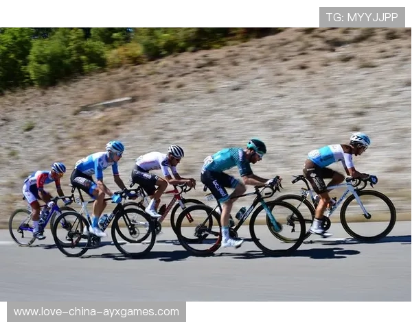 自行车赛末段体能分配成为制胜点 自行车赛末段体能分配成为制胜点
