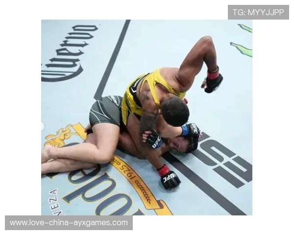 UFC重击声像鞭炮一样响，震撼人心的打斗盛宴